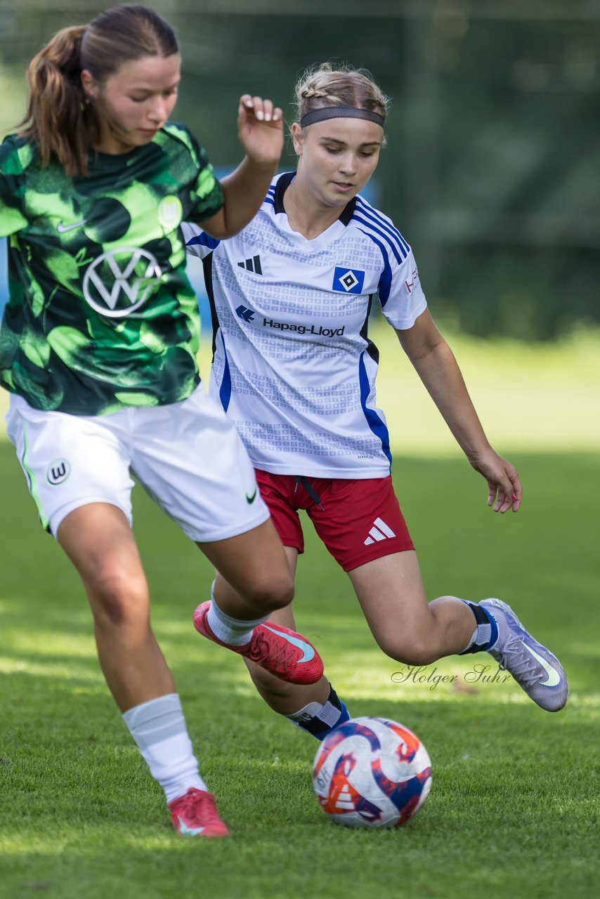 Bild 142 - wBJ Hamburger SV - VfL Wolfsburg : Ergebnis: 5:1
